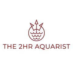 2Hr Aquarist