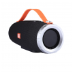 Bluetooth zvucnik BTS09/ TG crni