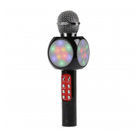 Mikrofon karaoke+ zvucnik (WS-1816) BTS16/ 05 crna