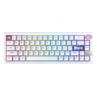 Tastatura Mehanicka Gaming Fantech MK920 RGB Maxfit 6 Wireless bela (brown switch)