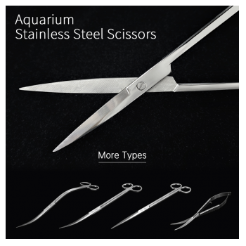 WeekAqua makaze ravne  25cm GJ-02