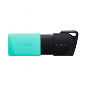 Kingston fles pen 256GB Data Traveler Exodia M 3.2